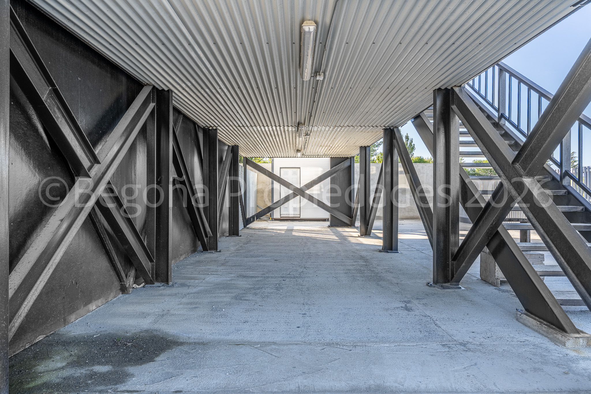 Avenida Los Flamengos, Punta Arenas ©Plazio Chile 2026-35