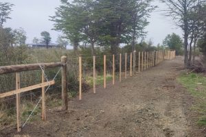 Parcela ubicada en Sector Sur >>